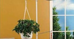 Plant Stands Outdoor