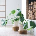 Plant Stands Outdoor