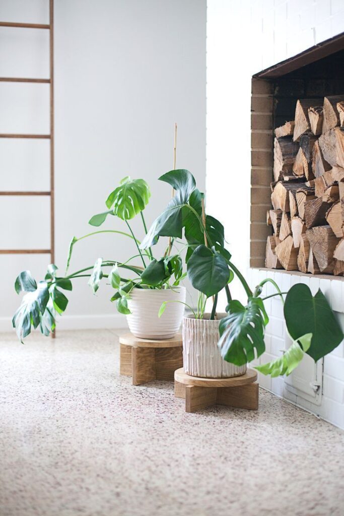 Plant Stands Outdoor