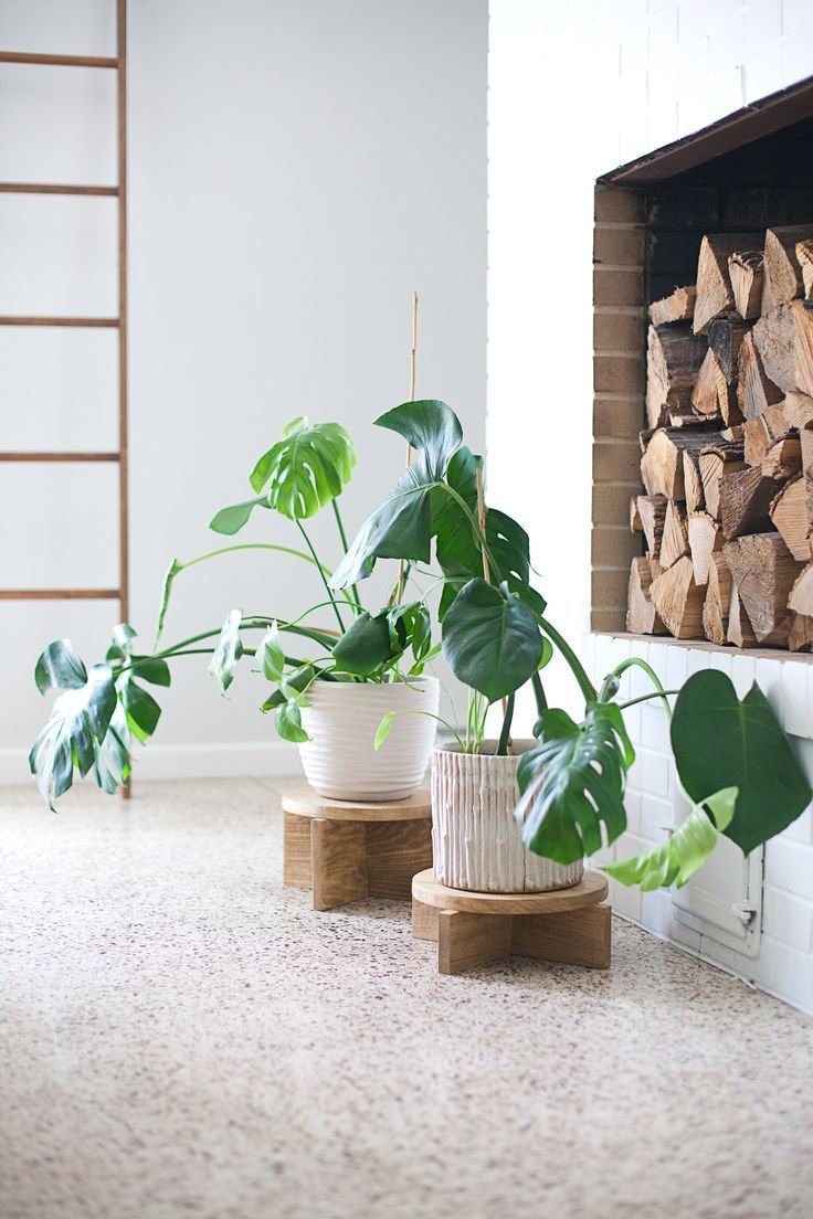 Plant Stands Outdoor for Beautifying Your Outdoor Space