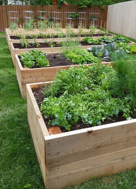 Planter Box