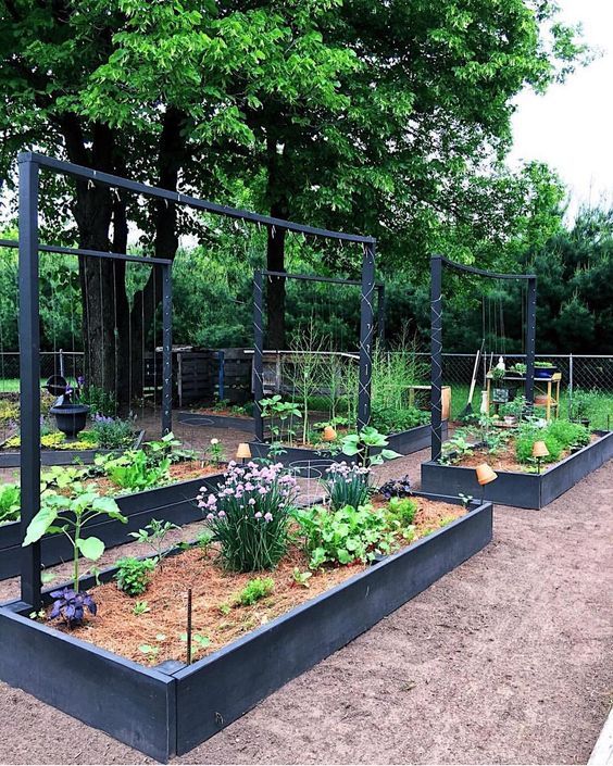 Planter Box