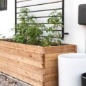 Planter Boxes