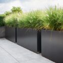 Planter Boxes