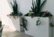 Planter Boxes