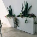 Planter Boxes