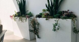 Planter Boxes