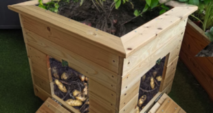 Planter Boxes Diy