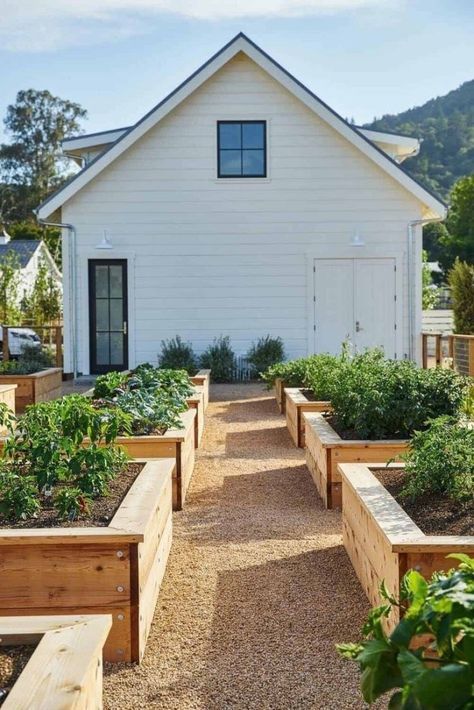 Planter Boxes Enhance Outdoor Spaces