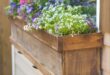 Planter Boxes Flowers