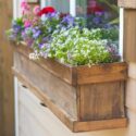 Planter Boxes Flowers