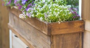 Planter Boxes Flowers