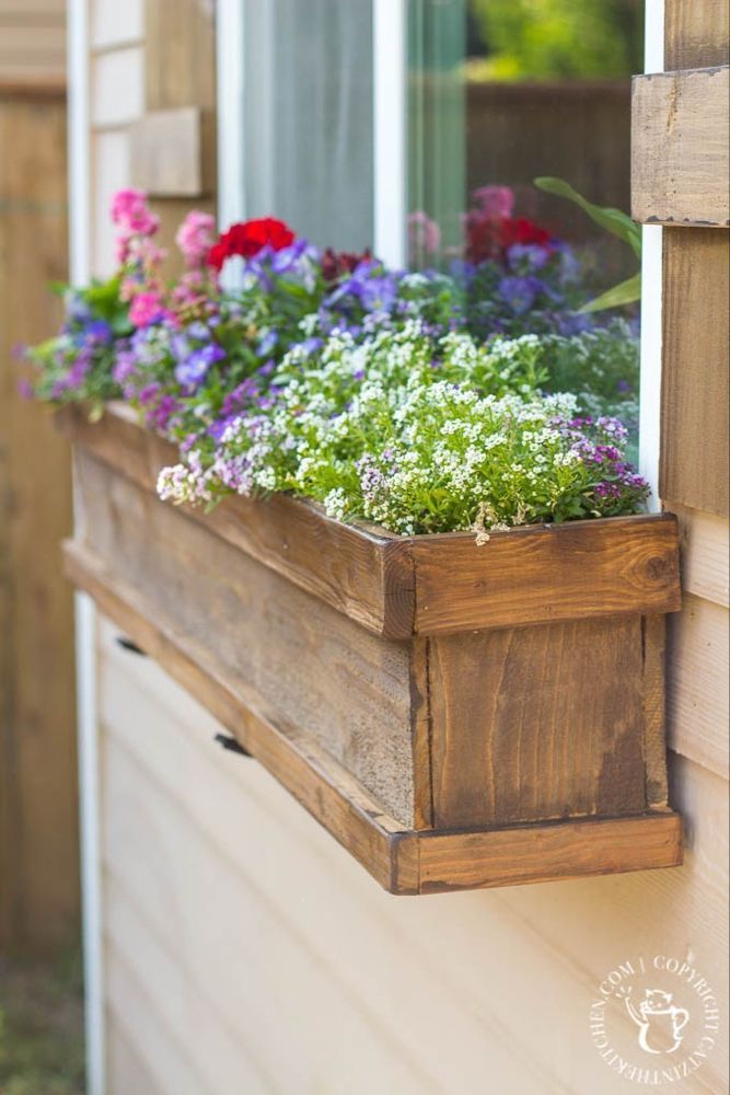 Planter Boxes Flowers