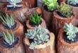 Planter Ideas