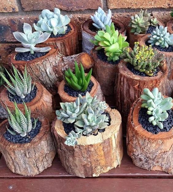 Planter Ideas