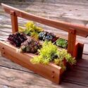 Planter Ideas