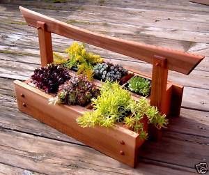 Planter Ideas