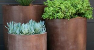 Planters For Front Porch