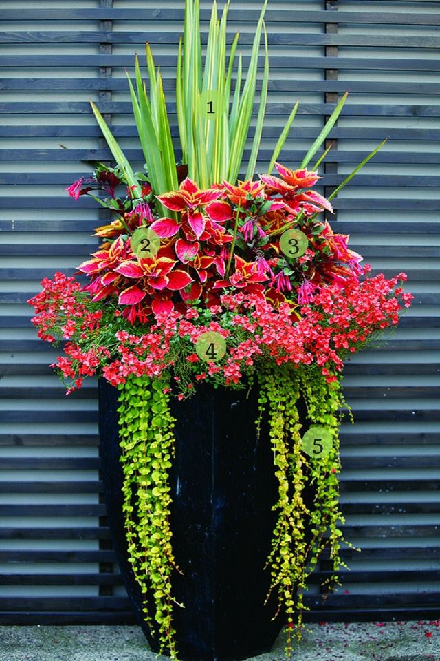 Planters For Front Porch Enhance Your Home’s Entryway with Beautiful Outdoor Plant Displays