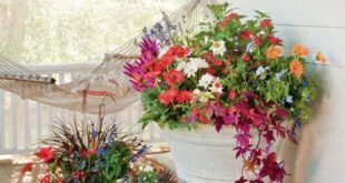 Planters For Front Porch