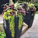 Planters For Front Porch