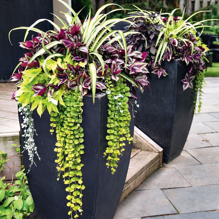 Planters For Front Porch Sprucing Up Your Front Porch with Beautiful Plant Arrangements