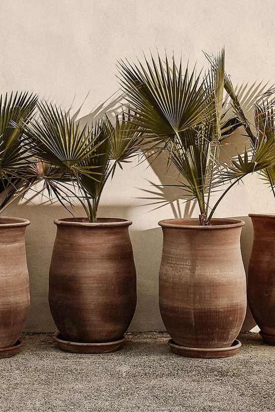 Front Porch Planters Spruce Up Your Outdoor Space with Stylish Plant Containers