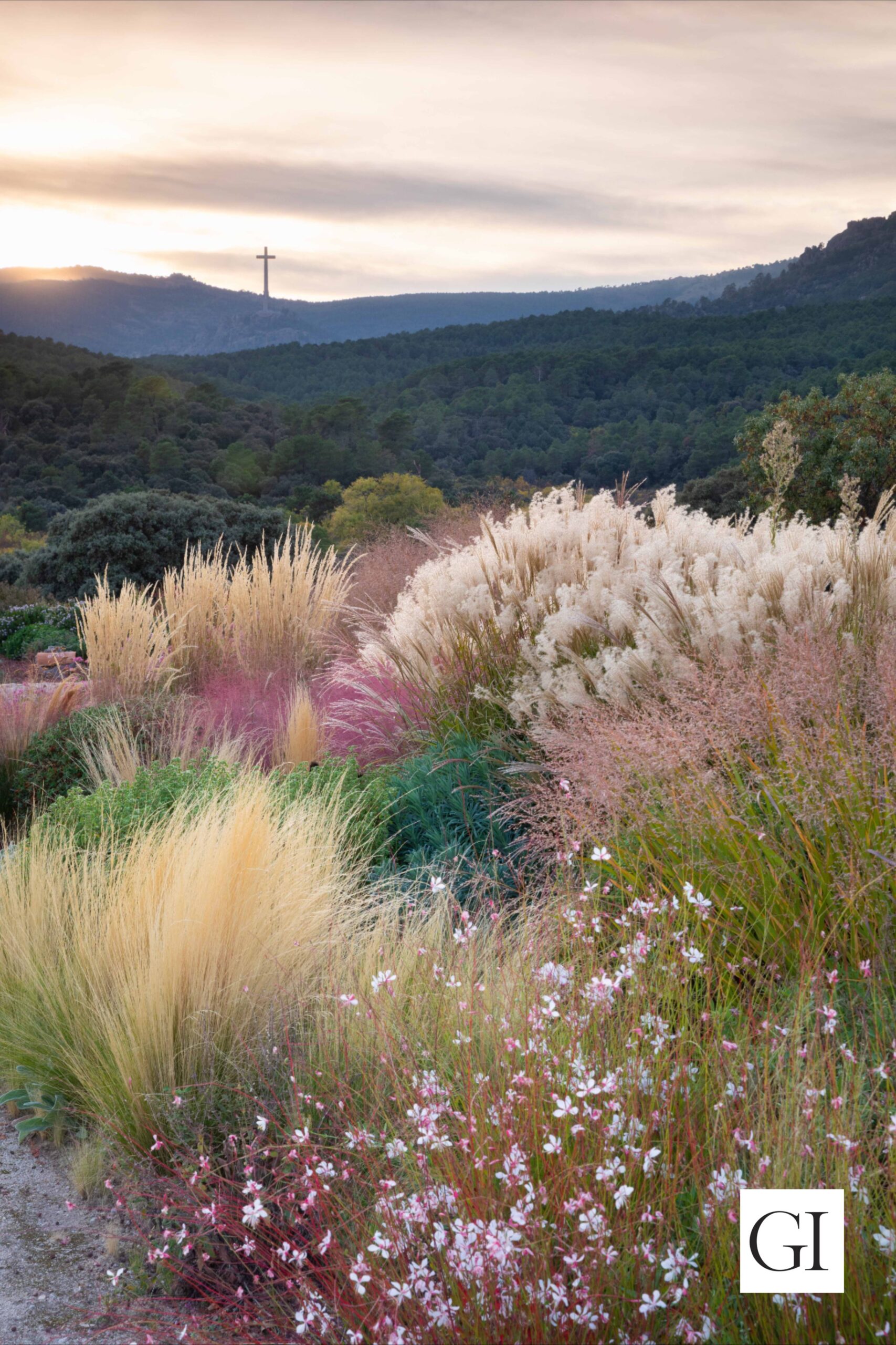 Planting Flowers The Art of Cultivating Beautiful Blossoms