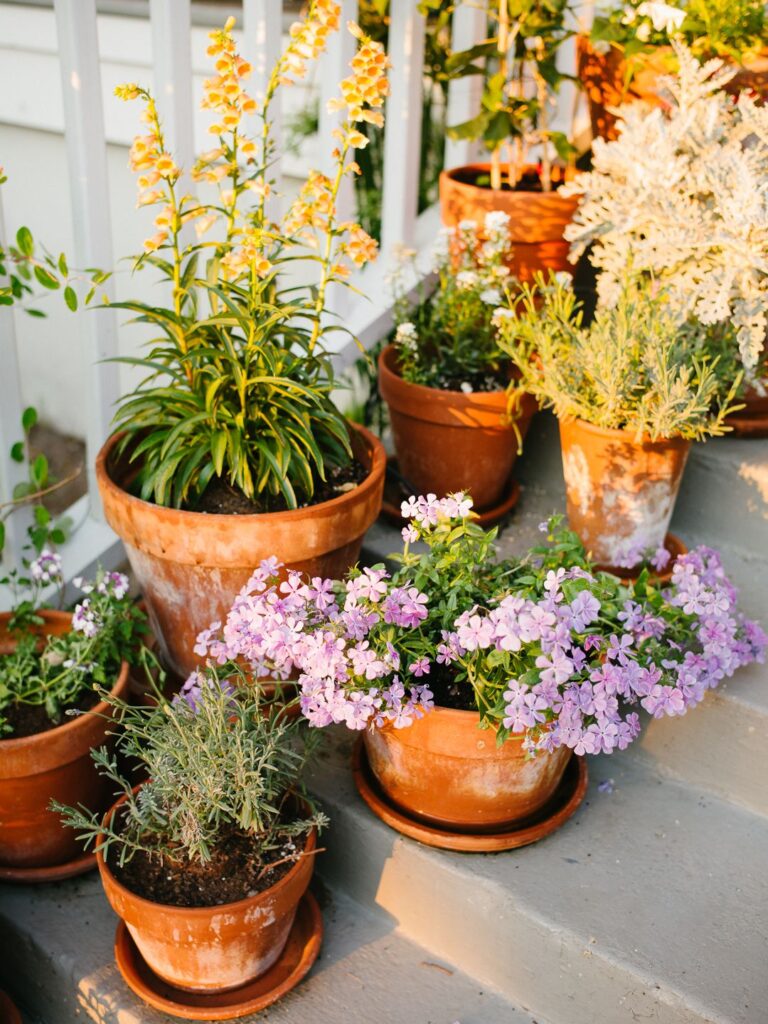 Planting Flowers