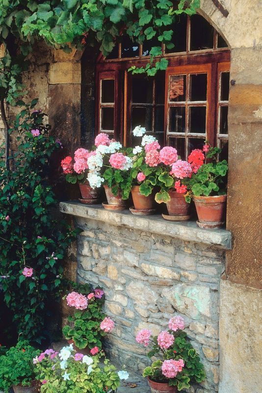 Planting Flowers