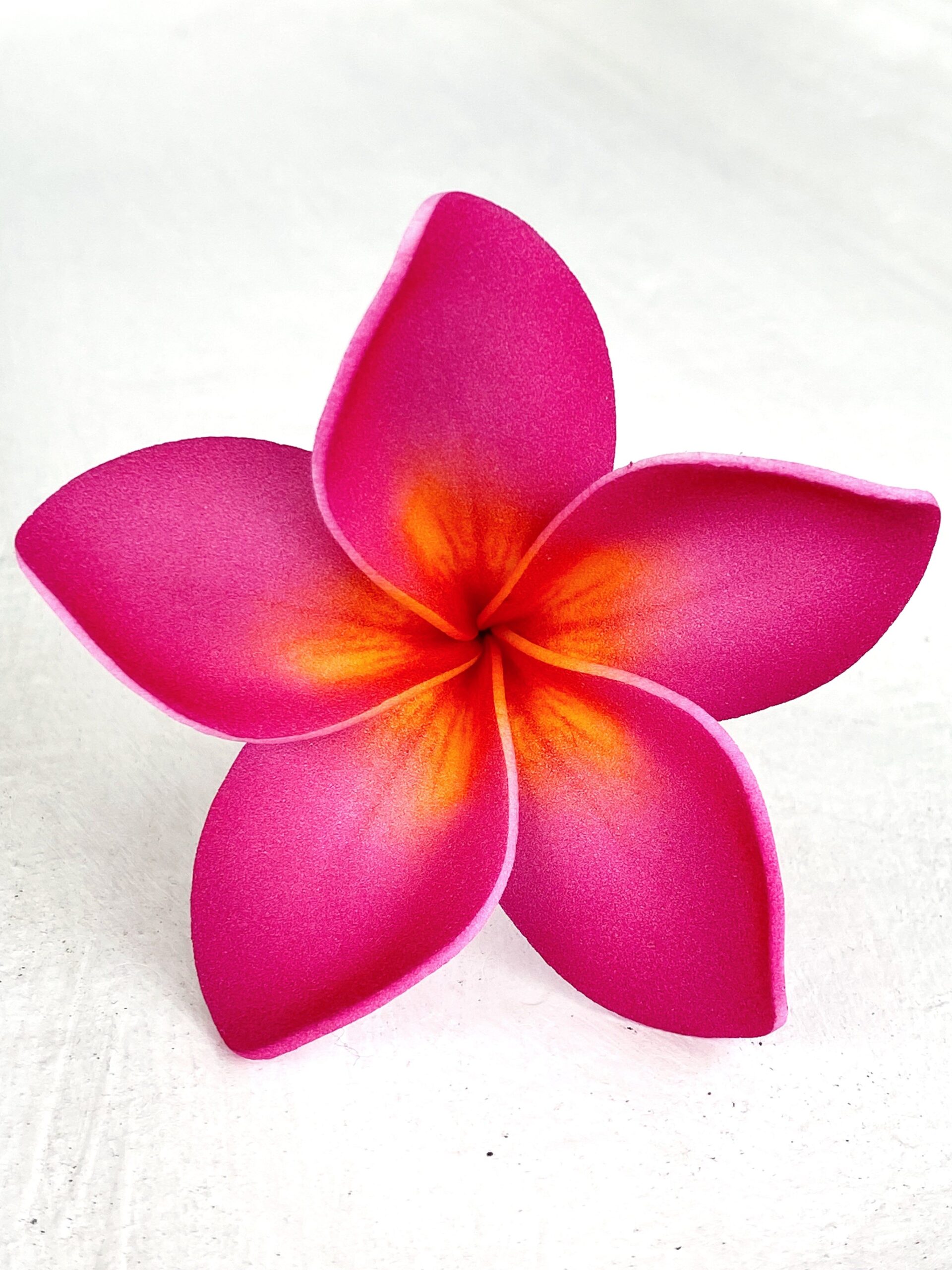 Plumeria Flowers: The Beauty of Tropical Blooms