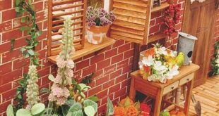 Porch Planter Ideas