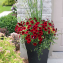 Porch Planter Ideas