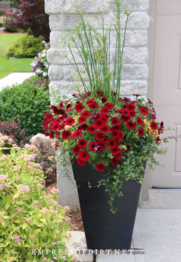 Porch Planter Ideas