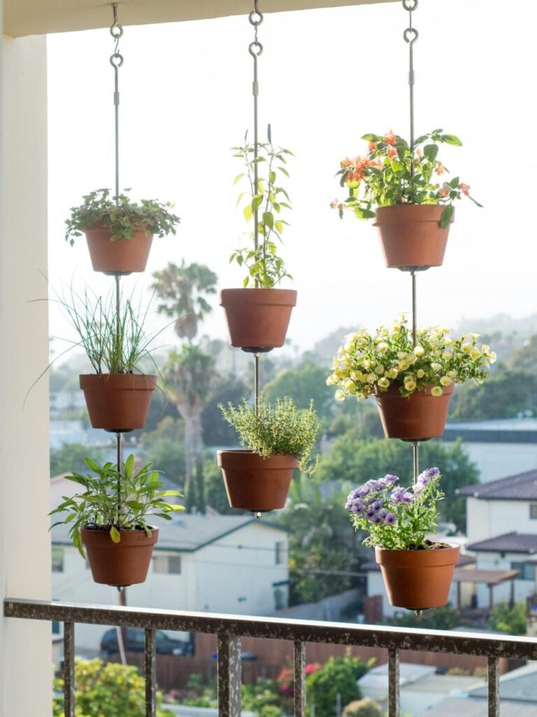 Porch Plants