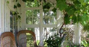 Porch Plants