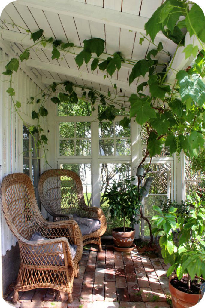 Porch Plants