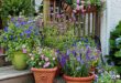 Potted Flowers For Patio