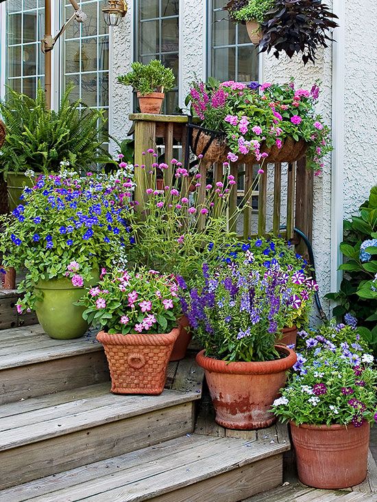 Potted Flowers For Patio