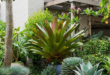 Potted Plants Outdoor