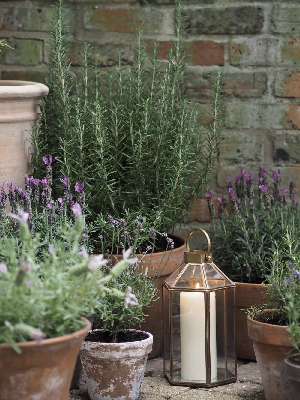 Potted Plants Outdoor Transforming Your Outdoor Space with Beautiful Potted Plants