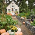 Raised Garden Beds