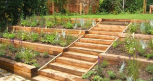 Raised Garden Beds