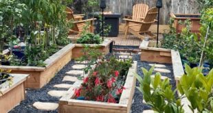 Raised Garden Beds Layout