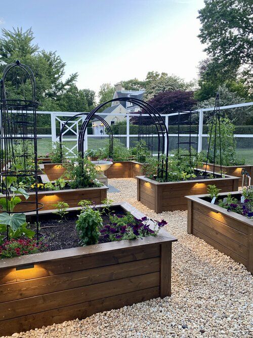 Raised Garden Beds Layout Key to Successful Gardening
