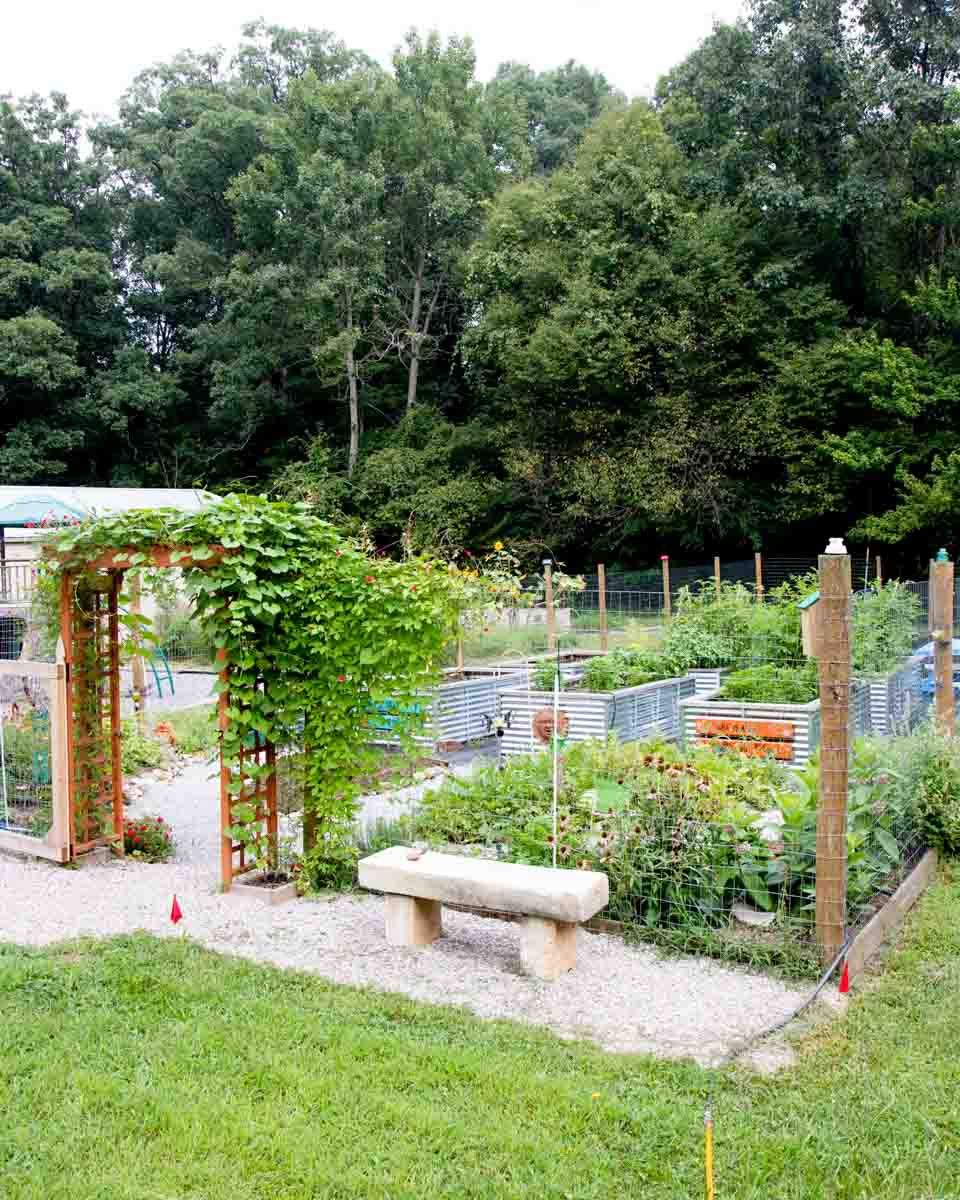 Raised Garden Beds Layout Maximizes Space and Puts Plants in Perfect Position