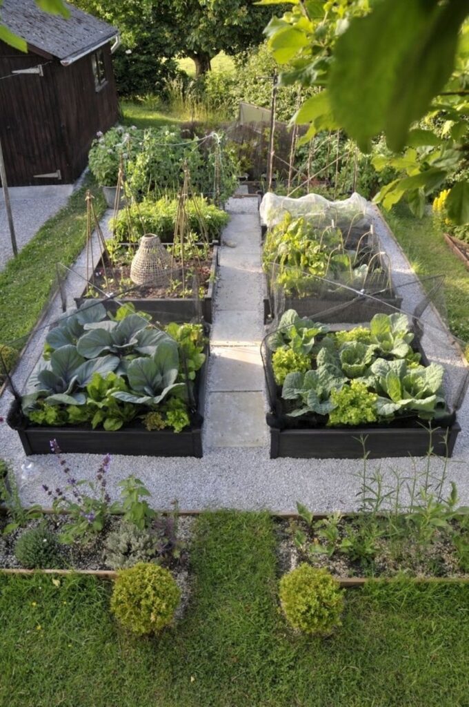 Raised Garden Beds Layout