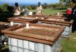 Raised Garden Beds Layout