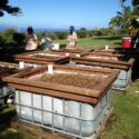 Raised Garden Beds Layout