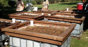 Raised Garden Beds Layout